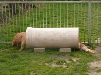 Cara Und Sunny